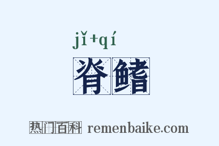 脊鳍是什么意思的图片